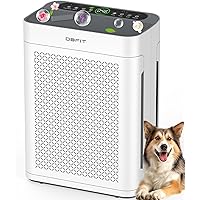 Deals on DBFIT AP300 HEPA Double-Sided Air Purifiers, up to 3000sq.ft
