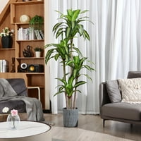 DR.Planzen Artificial Plants, 6ft Fake Dracaena Tree Deals