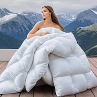 Wellos 900 Fill Power All Season Feather Down Comforter Queen Deals